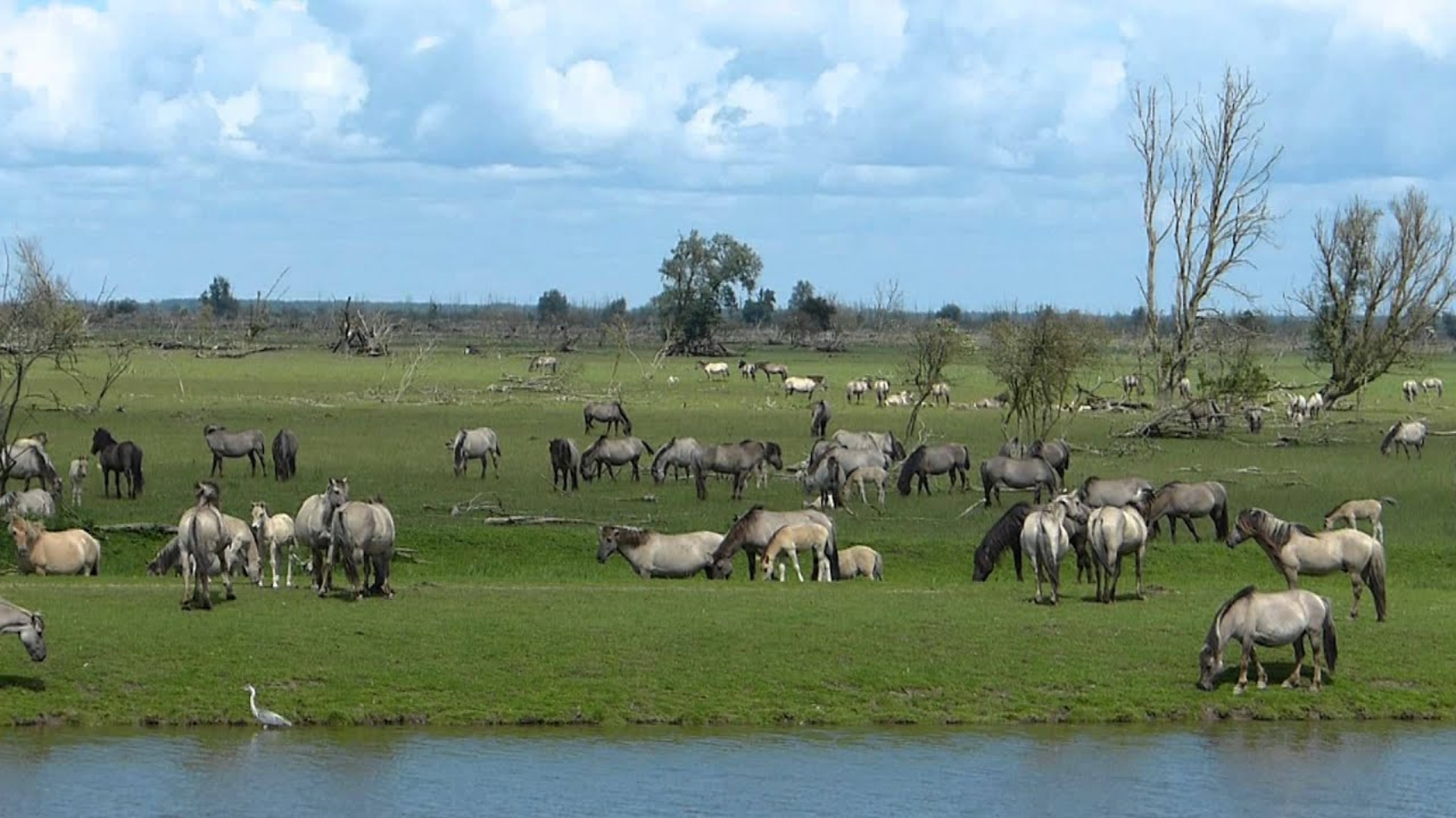 ootswaarderplassen