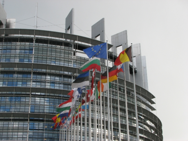 image_2024-05-04_180611546